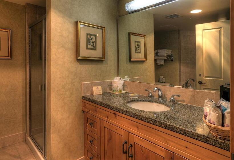 带1个卧室的豪华公寓, The Steamboat Grand