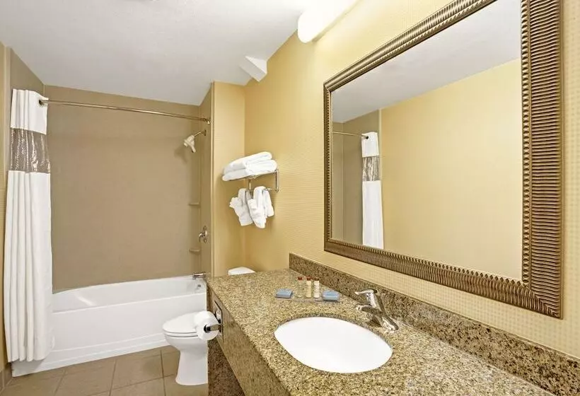 デラックスルーム, Wingate By Wyndham Atlanta Fairburn