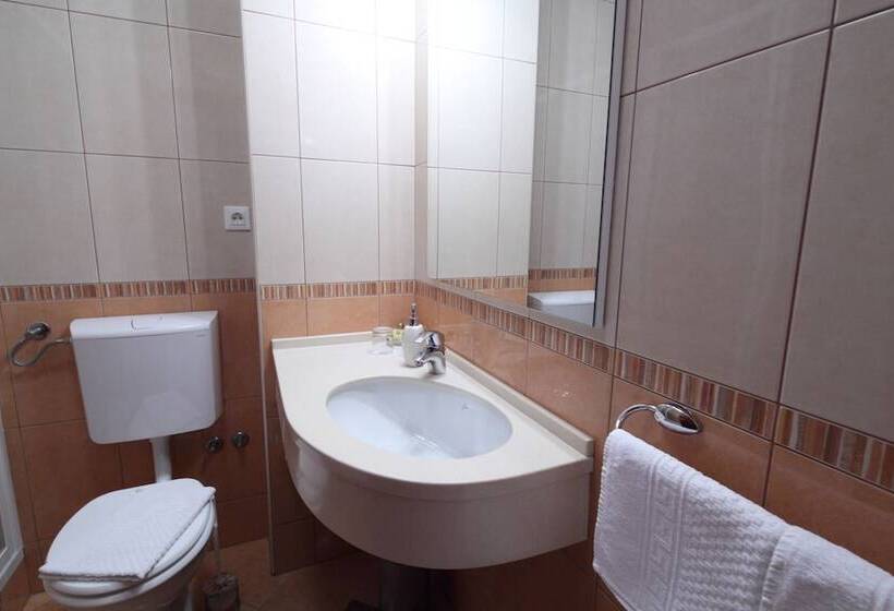 شقة غرفة واحدة, Apartments Ivana