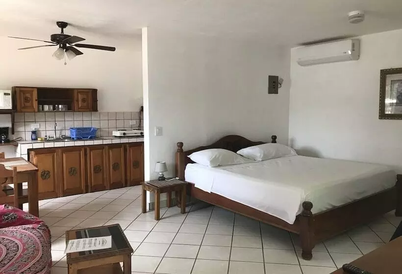 استودیوی استاندارد, Flores   Adults Only