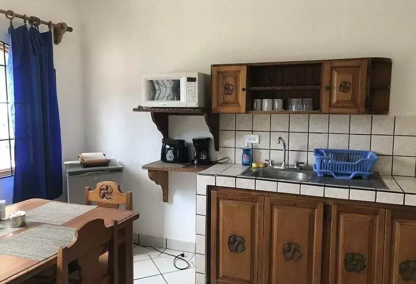 استودیوی استاندارد, Flores   Adults Only