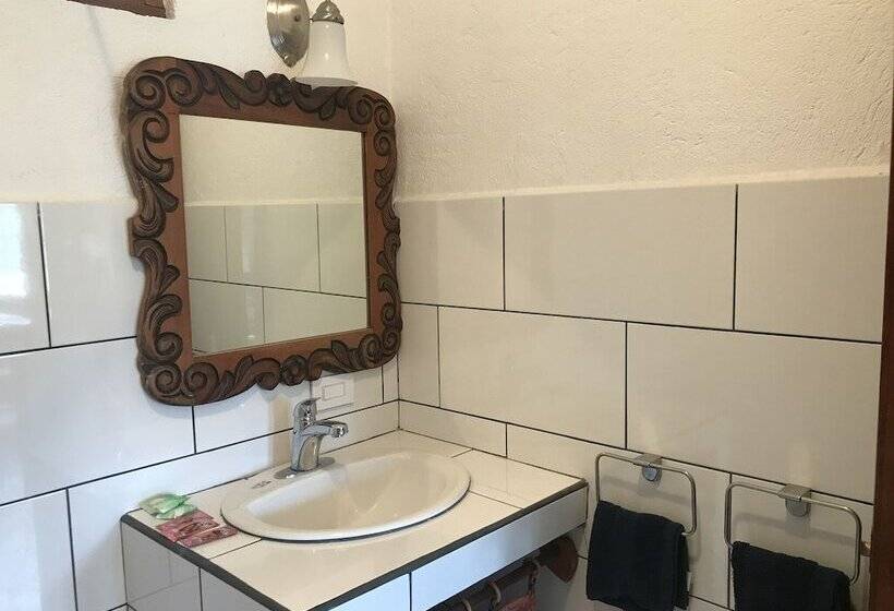 إستوديو قياسى, Flores   Adults Only