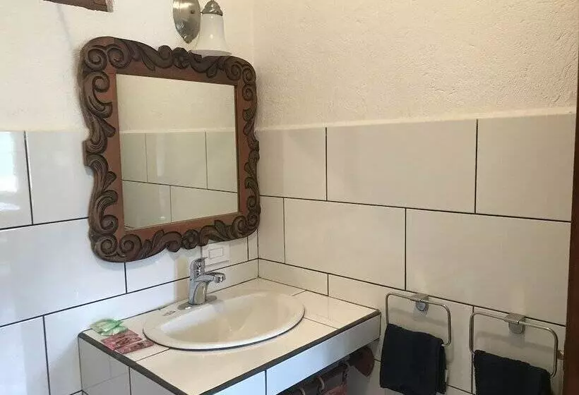 استودیوی استاندارد, Flores   Adults Only