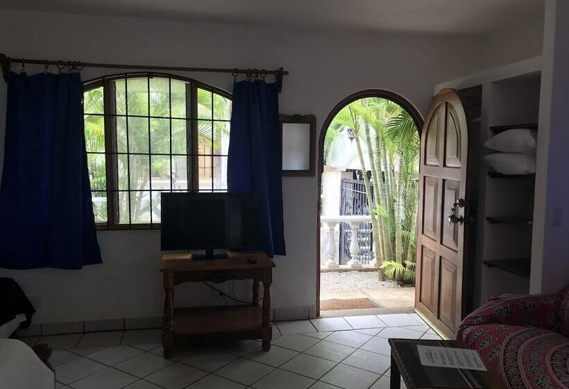 إستوديو قياسى, Flores   Adults Only