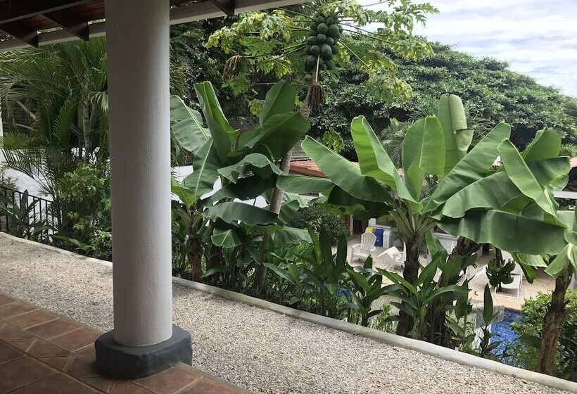 شقة غرفة واحدة, Flores   Adults Only