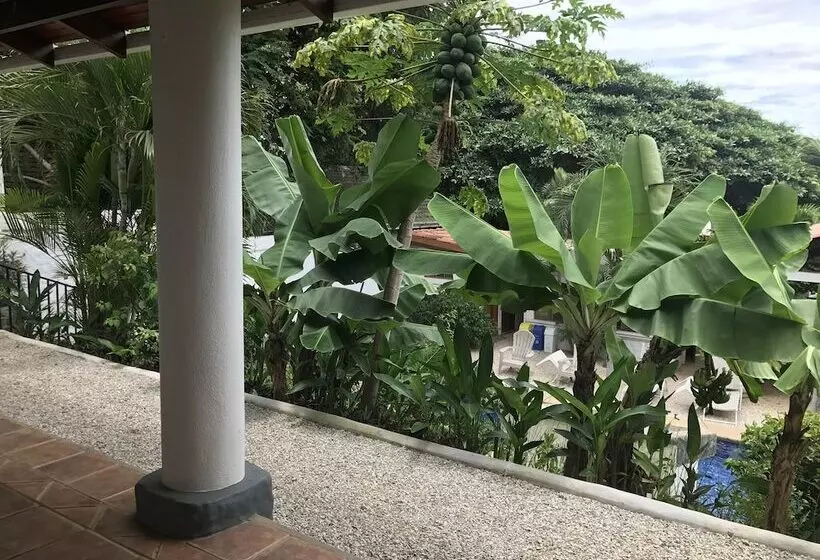 آپارتمان 1 خوابه, Flores   Adults Only