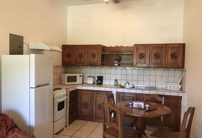 شقة غرفة واحدة, Flores   Adults Only