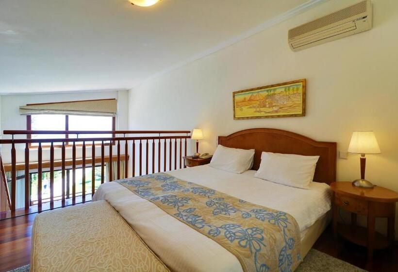 复式房间, Aegean Melathron Thalasso Spa