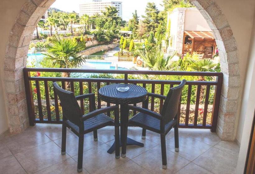 اتاق استاندارد با چشم‌انداز استخر, Aegean Melathron Thalasso Spa