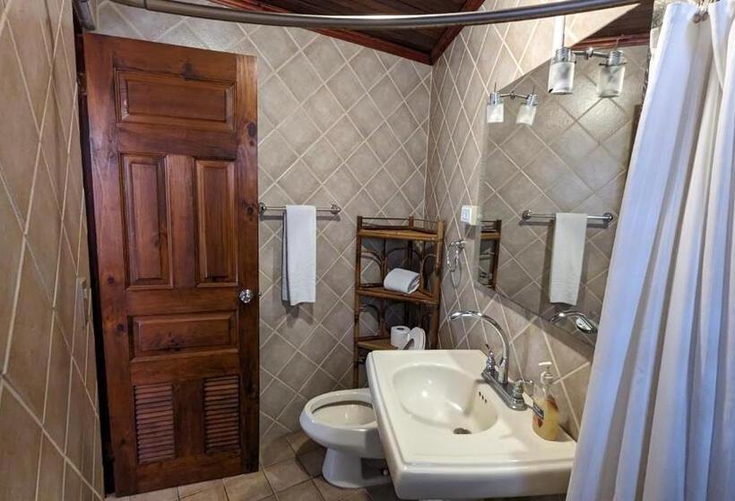 标准间, Colours Oasis Resort Adult Only