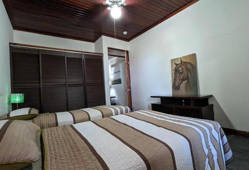 공동 객실, Colours Oasis Resort Adult Only
