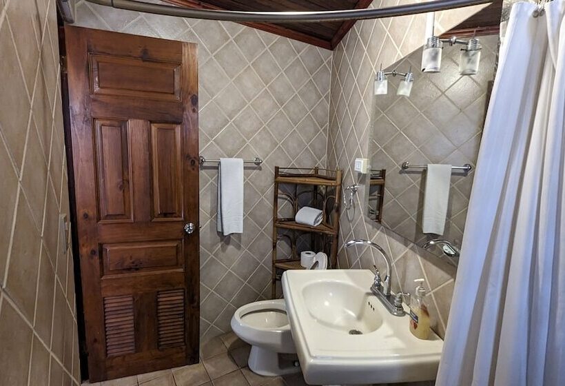 标准间, Colours Oasis Resort Adult Only