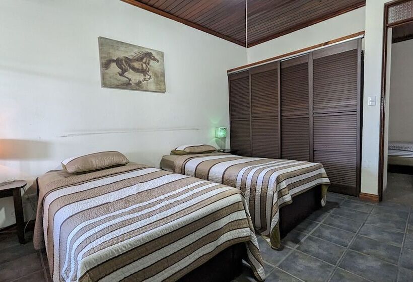 共用房间的床, Colours Oasis Resort Adult Only