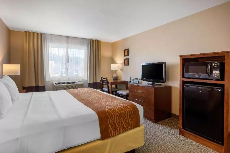Standard-huone King-vuode, Comfort Inn & Suites Murrieta Temecula Wine Country