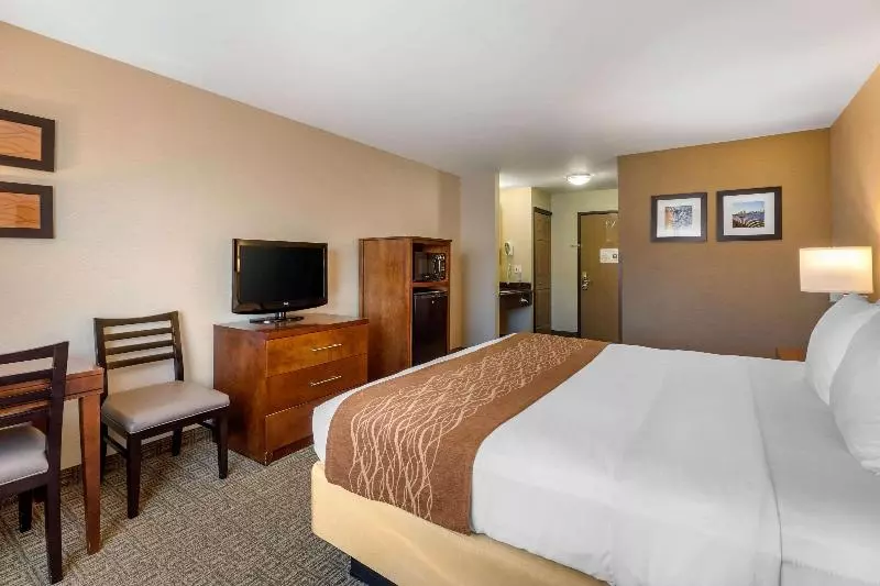Standard-huone King-vuode, Comfort Inn & Suites Murrieta Temecula Wine Country