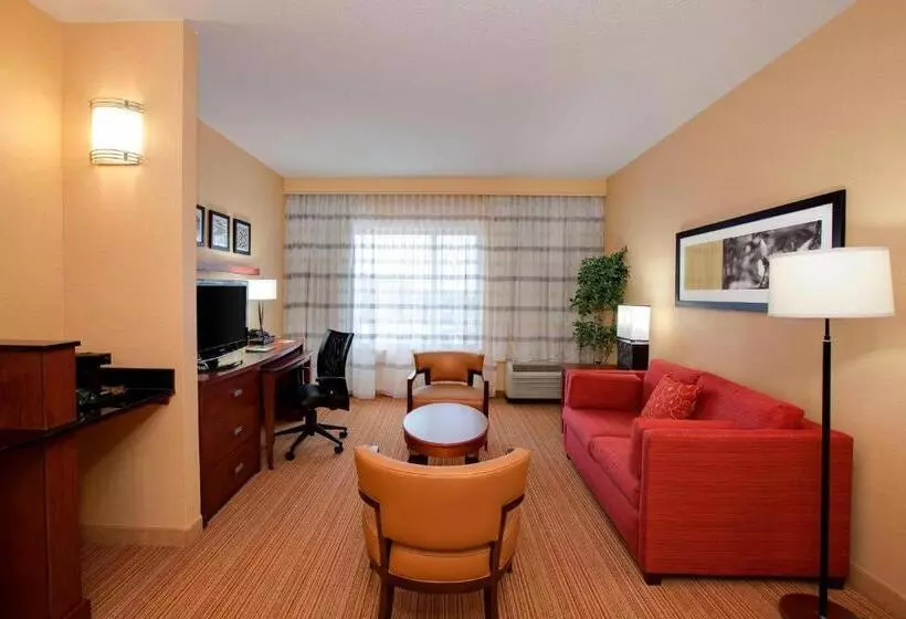 Sviitti King-vuode, Courtyard By Marriott Chicago Schaumburg/woodfield Mall
