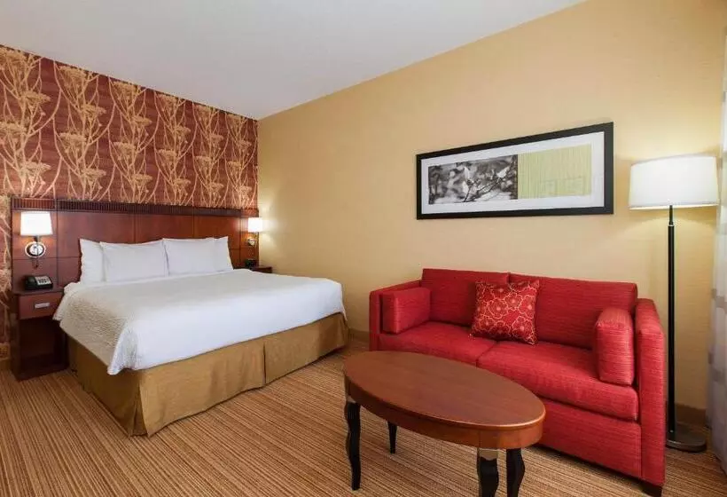 Sviitti King-vuode, Courtyard By Marriott Chicago Schaumburg/woodfield Mall