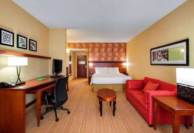Deluxe-huone King-vuode, Courtyard By Marriott Chicago Schaumburg/woodfield Mall