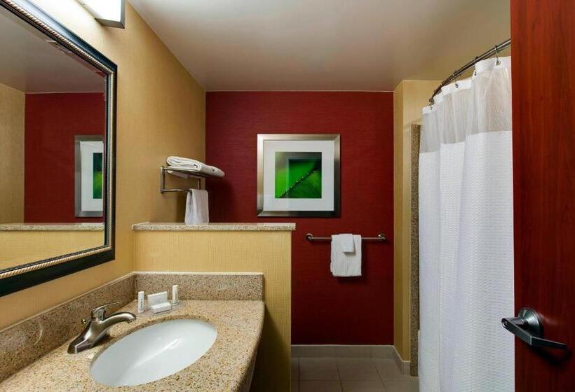 身障者適用キングサイズベッドルーム, Courtyard By Marriott Chicago Schaumburg/woodfield Mall
