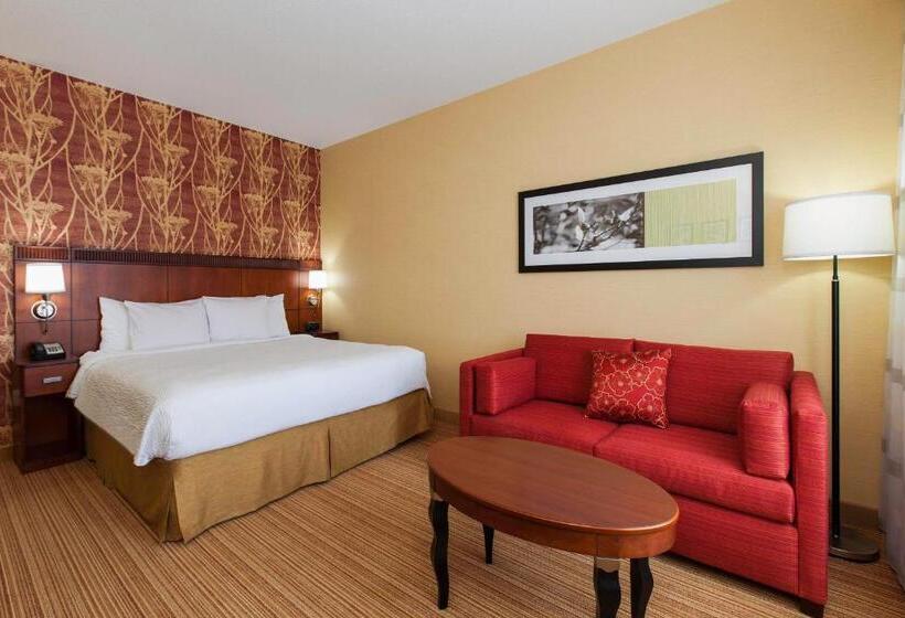 Mozgáskorlátozott Standard Szoba King Size Bed, Courtyard By Marriott Chicago Schaumburg/woodfield Mall