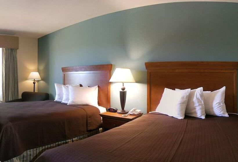 스탠다드 룸, Executive Inn & Suites