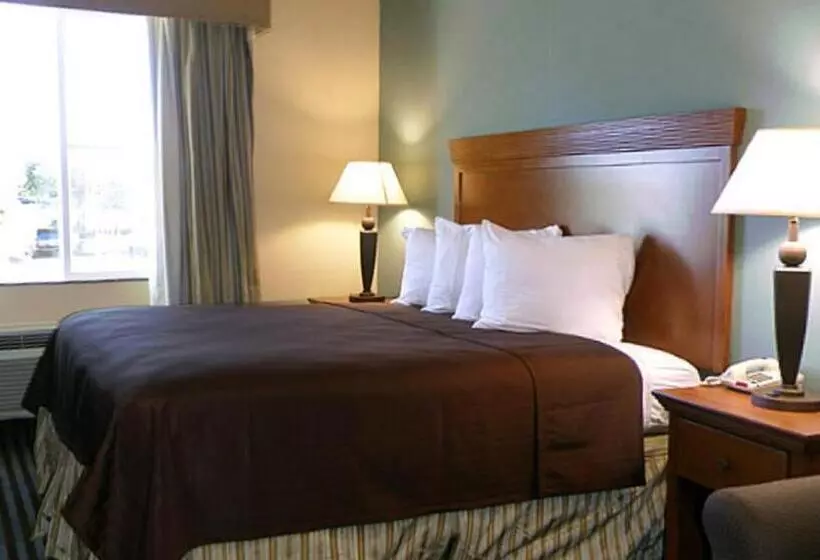 キングサイズベッドのスタンダードルーム, Executive Inn & Suites