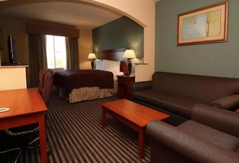 キングサイズベッドのスイートルーム, Executive Inn & Suites