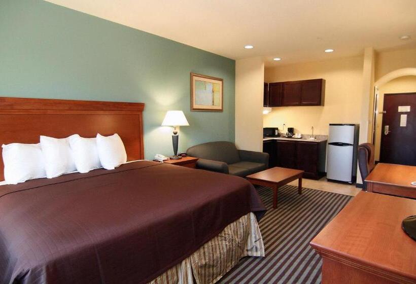 스탠다드 룸 킹사이즈 침대, Executive Inn & Suites