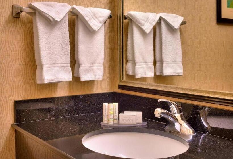 Студио Стандарт Кровать Кинг, Fairfield Inn & Suites Boise Nampa