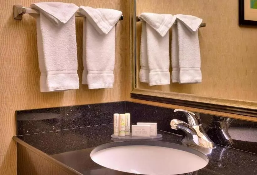 身障者適用キングサイズベッドルーム, Fairfield Inn & Suites Boise Nampa