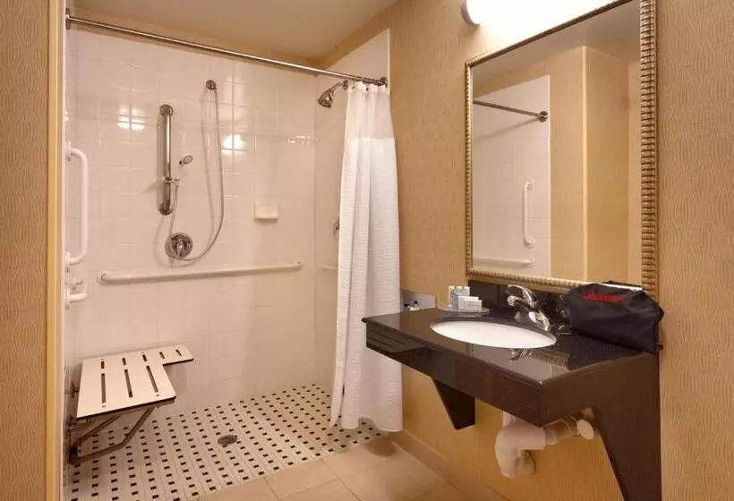 キングサイズベッドのスタンダードルーム, Fairfield Inn & Suites Boise Nampa