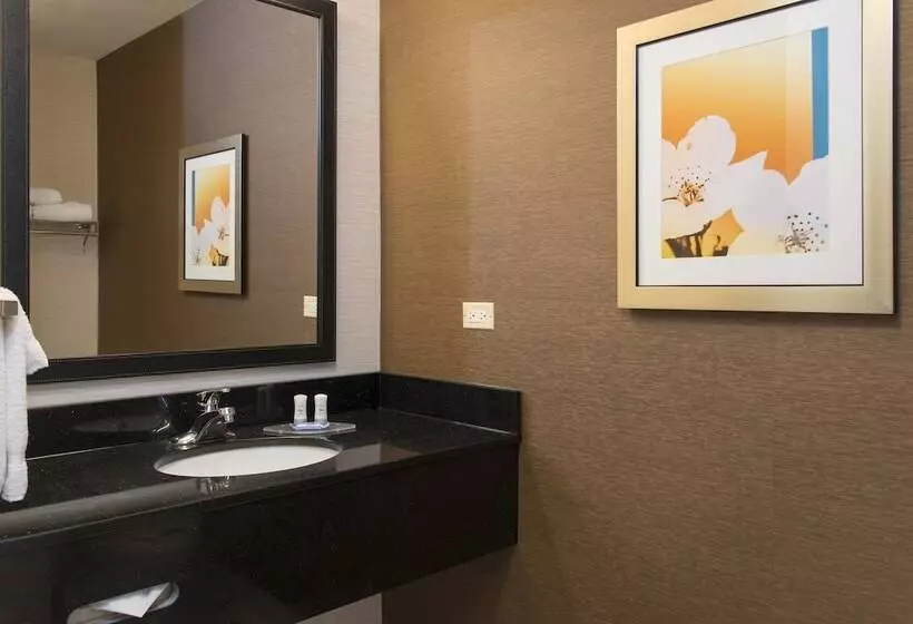 ２ダブルベッドのスタンダードルーム, Fairfield Inn And Suites By Marriott Chicago St. Charles