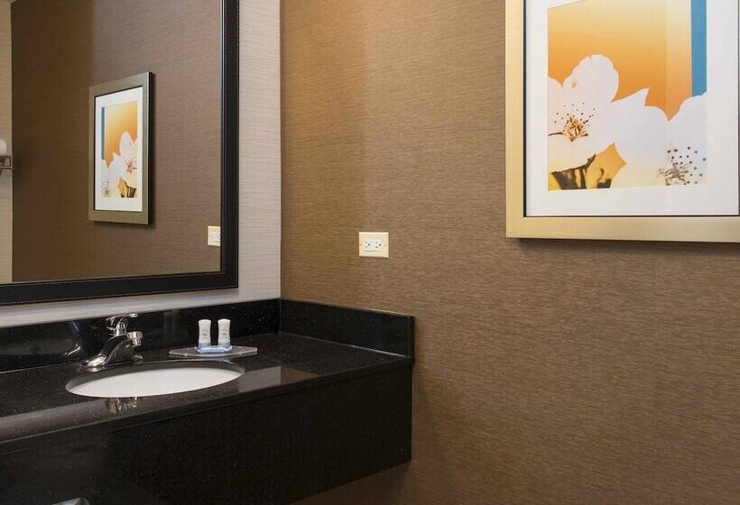 غرفه قياسيه سريرين مزدوجين, Fairfield Inn And Suites By Marriott Chicago St. Charles