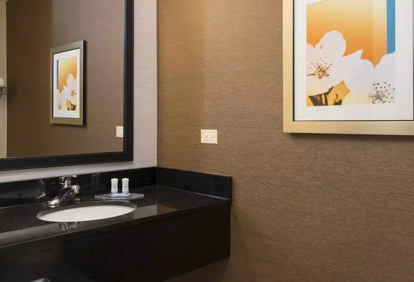 ２ダブルベッドのスタンダードルーム, Fairfield Inn And Suites By Marriott Chicago St. Charles
