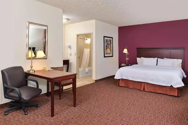 キングサイズベッドのスイートルーム, Hampton Inn & Suites Muncie