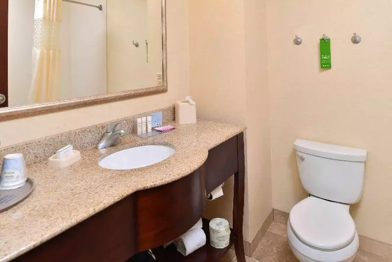 キングサイズベッドのスイートルーム, Hampton Inn & Suites Muncie