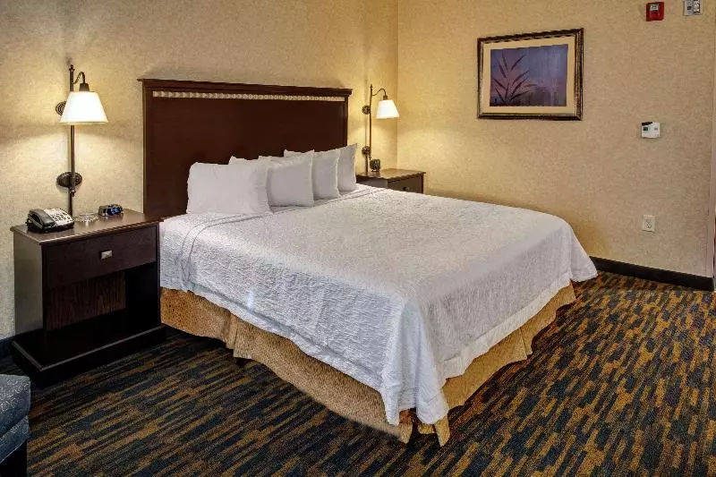 身障者適用キングサイズベッドルーム, Hampton Inn Roanoke Rapids, Nc