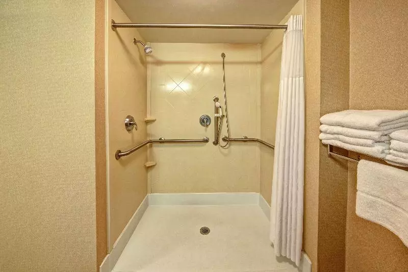 身障者適用キングサイズベッドルーム, Hampton Inn Roanoke Rapids, Nc