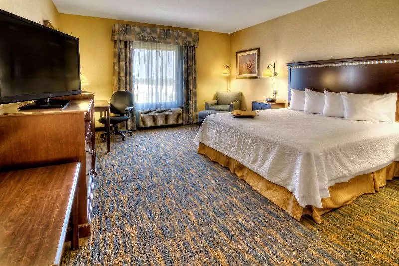 キングサイズベッドのスタンダードルーム, Hampton Inn Roanoke Rapids, Nc