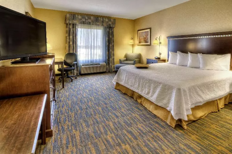 キングサイズベッドのスタンダードルーム, Hampton Inn Roanoke Rapids, Nc