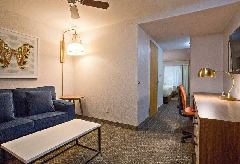 Suite Przystosowany dla Osób Niepełnosprawnych, Hawthorn Suites By Wyndham Oakland/alameda