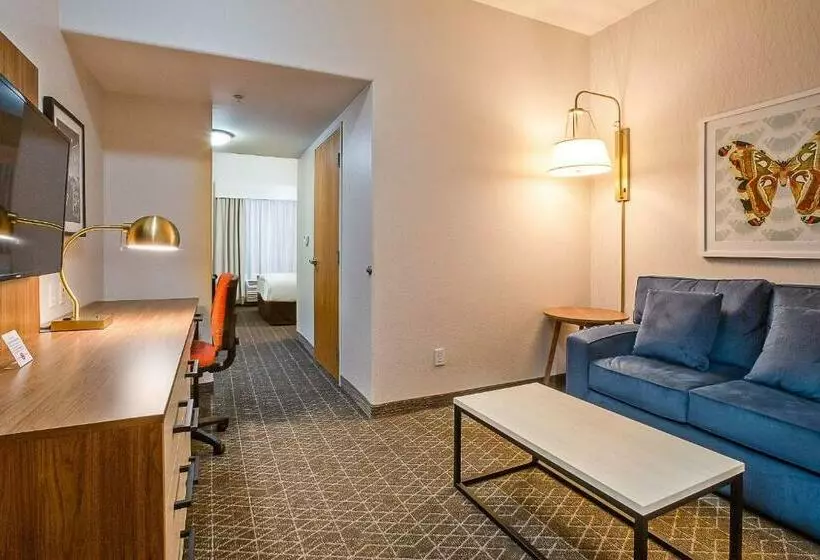 キングサイズベッドのスイートルーム, Hawthorn Suites By Wyndham Oakland/alameda