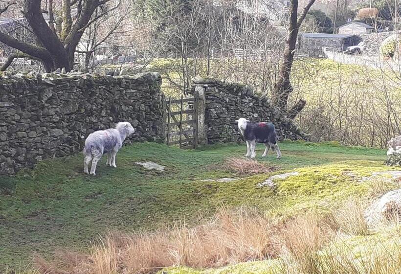 Cameră Triplă Clasică, Invergarry Room Only Guest House For Adults