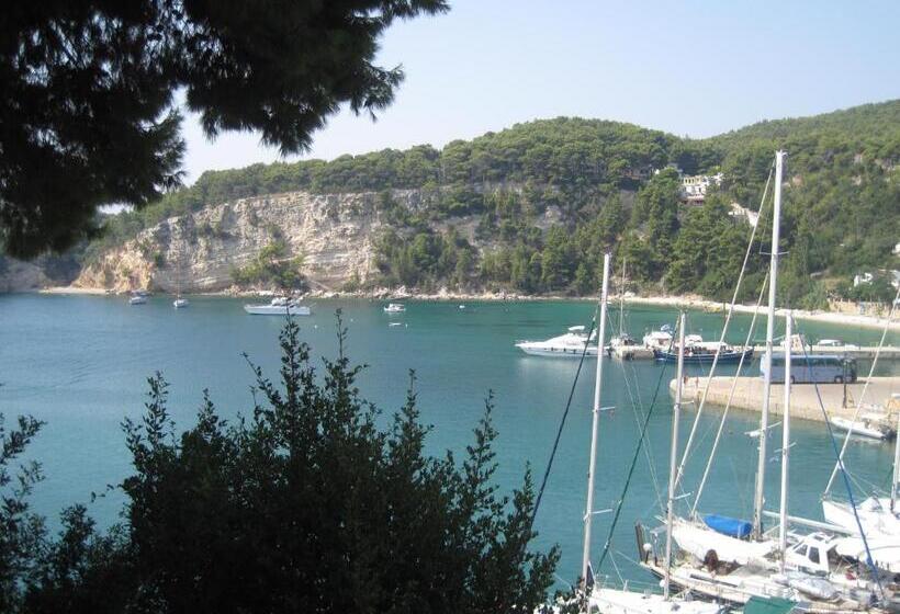 اتاق استاندارد با چشمانداز دریا, Levantes