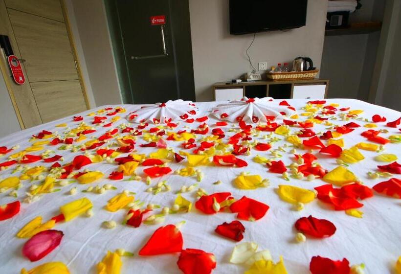 غرفة قياسية, Ostro