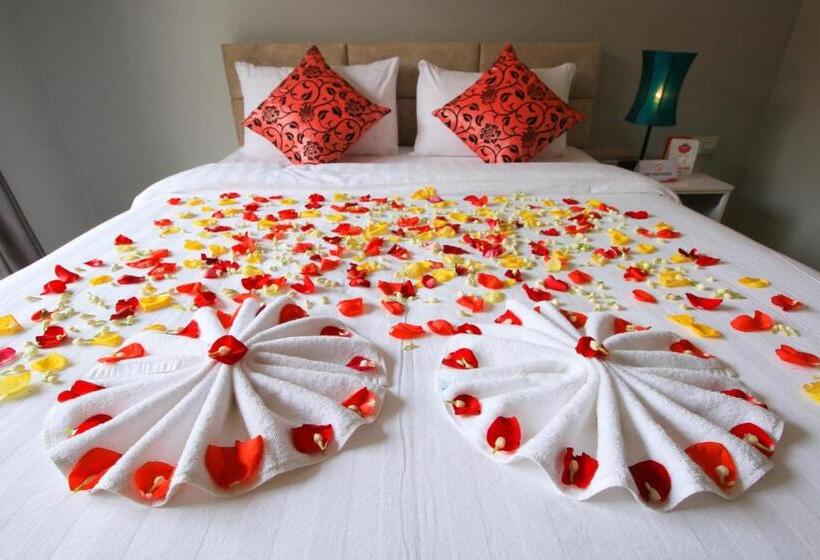 غرفة قياسية, Ostro