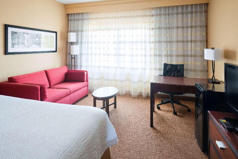 带大床的套房, Sonesta Select Detroit Novi