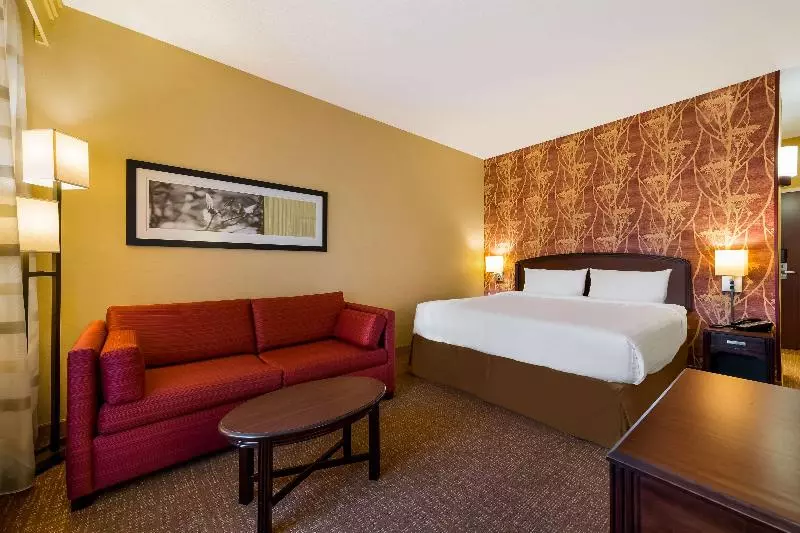 身障者適用スタンダードルーム, Sonesta Select Detroit Novi