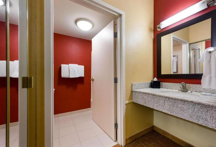 Стандартный Номер Кровать Кинг, Sonesta Select Detroit Novi