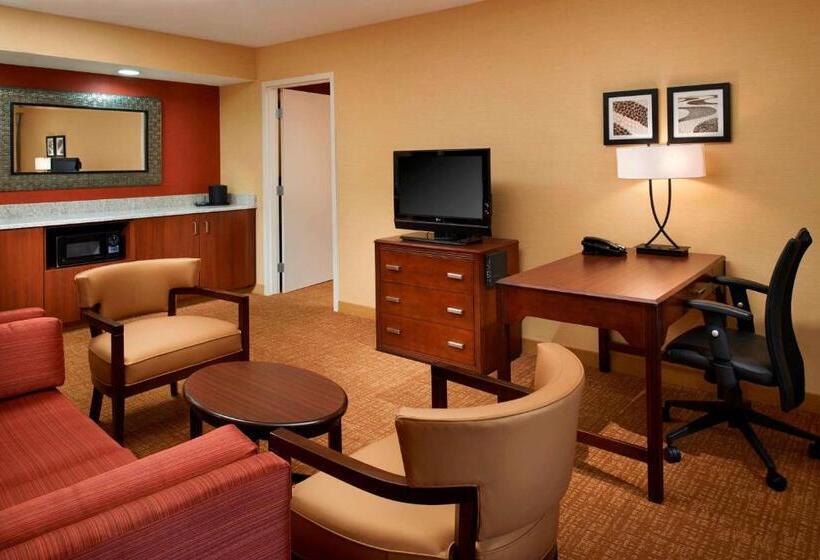 جناح سرير كينج, Sonesta Select Detroit Novi